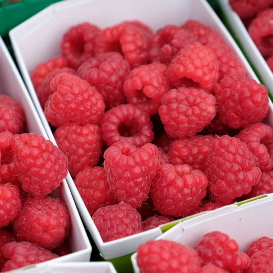 Beeren-Plus zum Gemüseabo
