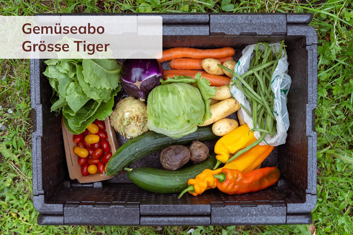 Bio Gemüseabo im Aargau als Geschenk - Luchs und Hase