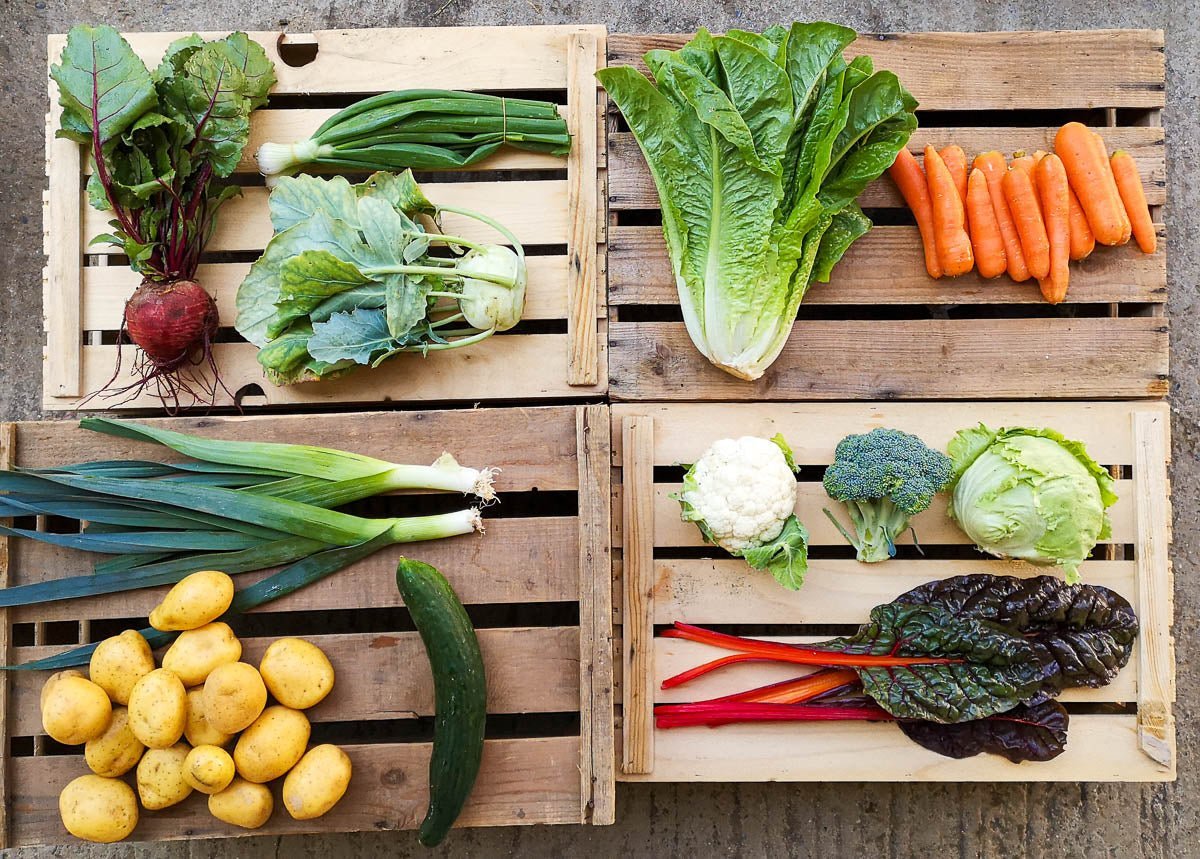 Bio Gemüseabo im Aargau als Geschenk - Luchs und Hase