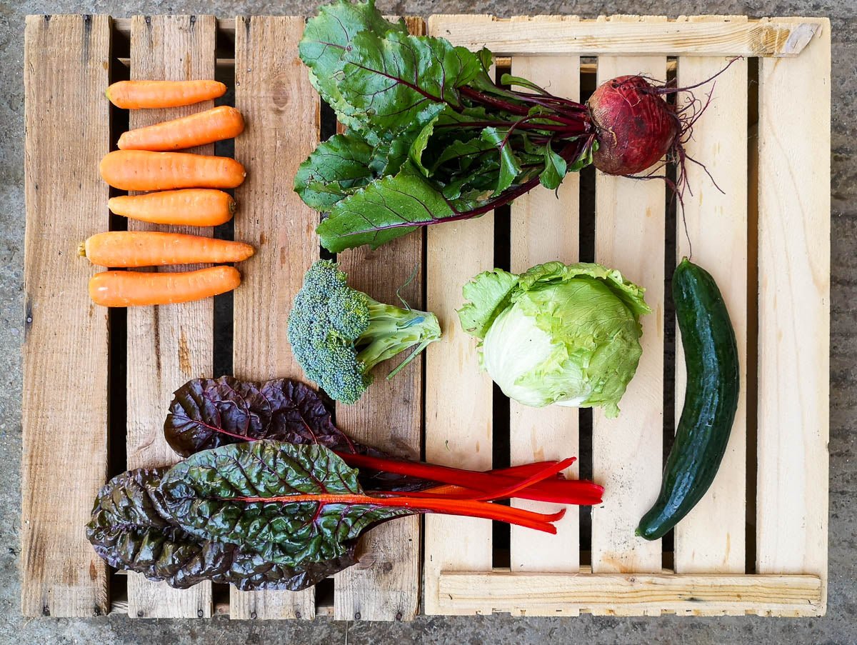 Bio Gemüseabo im Aargau - Luchs und Hase