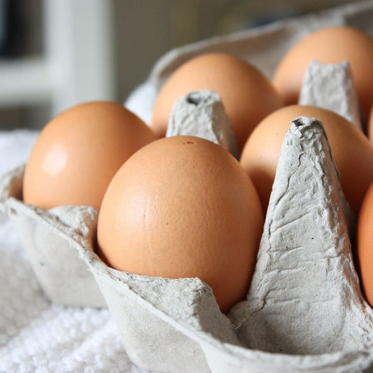 Eier-Plus zum Gemüseabo - Luchs und Hase