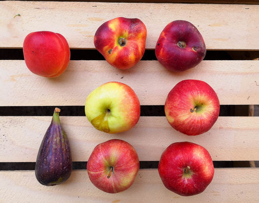 Früchte-Plus zum Gemüseabo - Luchs und Hase