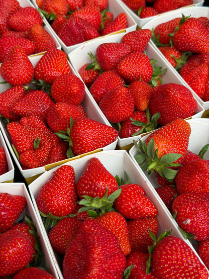 Beeren-Plus zum Gemüseabo