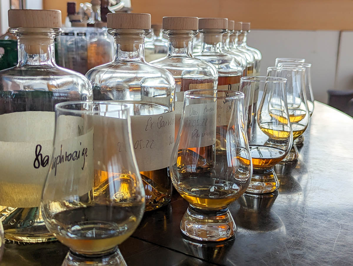 Viele Whiskyflaschen und eingefüllte Whiskygläser für eine Degustation