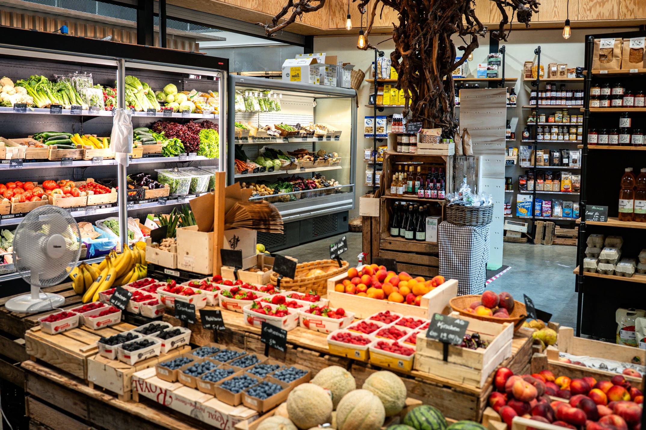 Ladenansicht mit Gemüse, Früchten und Lebensmitteln