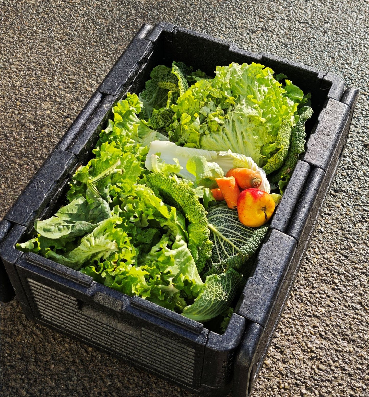 Tierlifutter Abo - frisches Gemüse & Obst für Haustiere