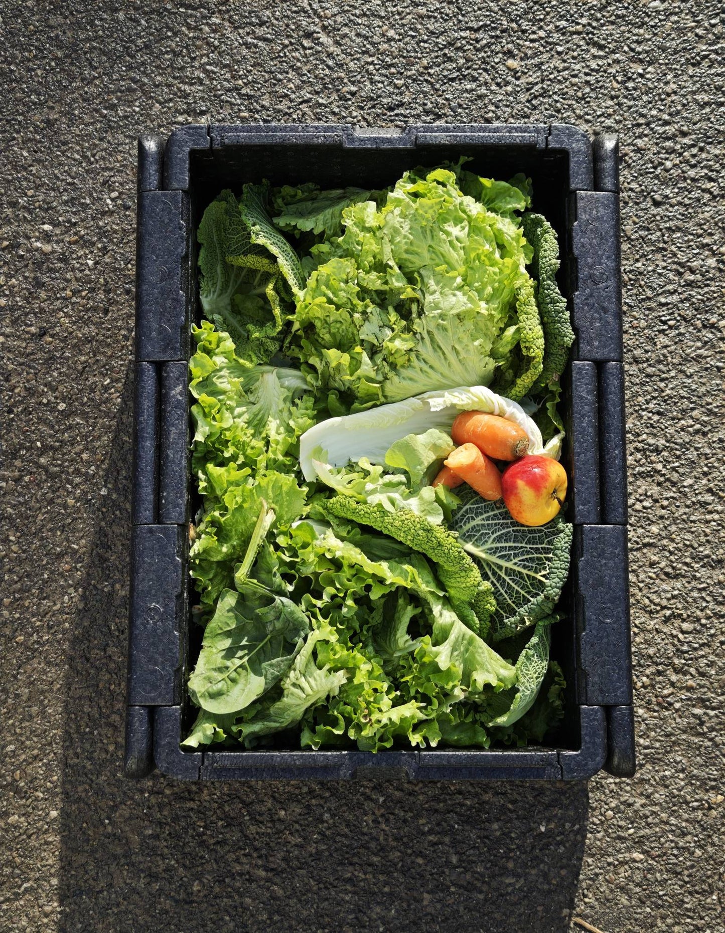 Tierlifutter Abo - frisches Gemüse & Obst für Haustiere